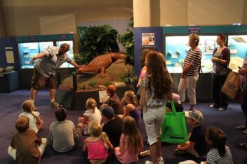 Benefits of Kids Learning About Dinosaurs - The National Dinosaur Museum Guided Tour