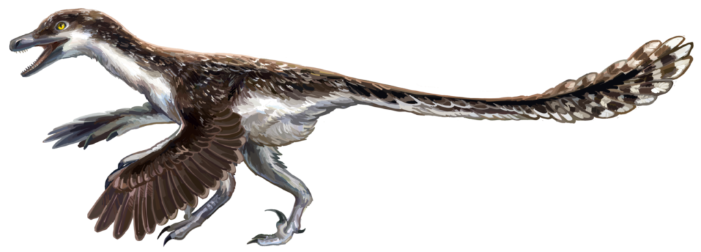 Velociraptor_recon